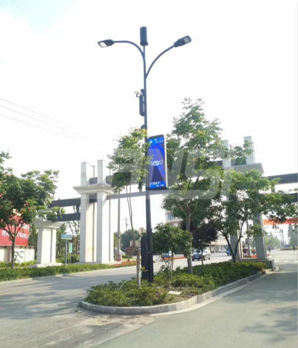 浙江大云鎮智慧路燈項目