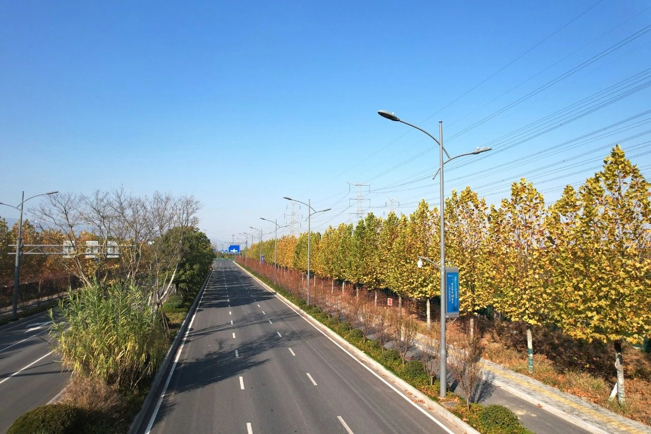 最高獎,三思,浙中公鐵聯運港,智慧路燈,工程,榮獲“市政工程最高質量水平評價”