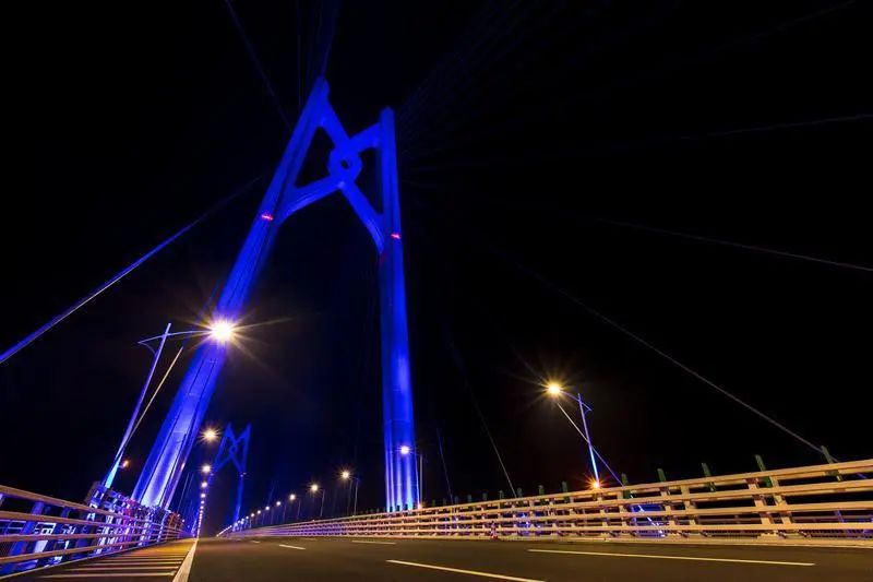 紐約時代廣場,進博會,這家,LED全球領軍,民營企業,贏的奧秘